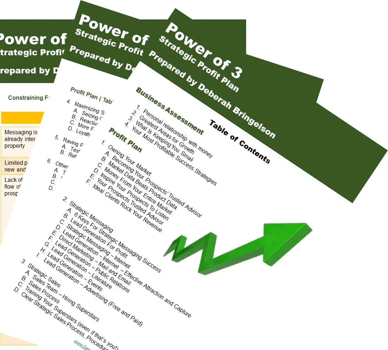 Strategic Profits - 39 Point Plan 4