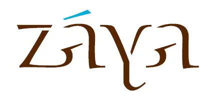 ZAYA real estate and hospitality brand logo representing Nadia Zaal’s 3,546 percent revenue growth in 12 months.